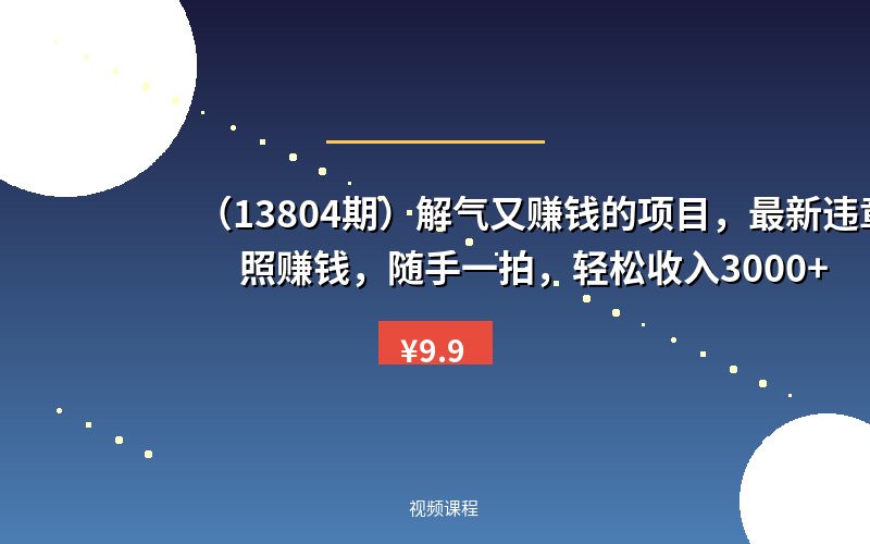 (13804期)解气又赚钱的项目,最新违章拍照赚钱,随手一拍,轻松收入3000+-优优云网创